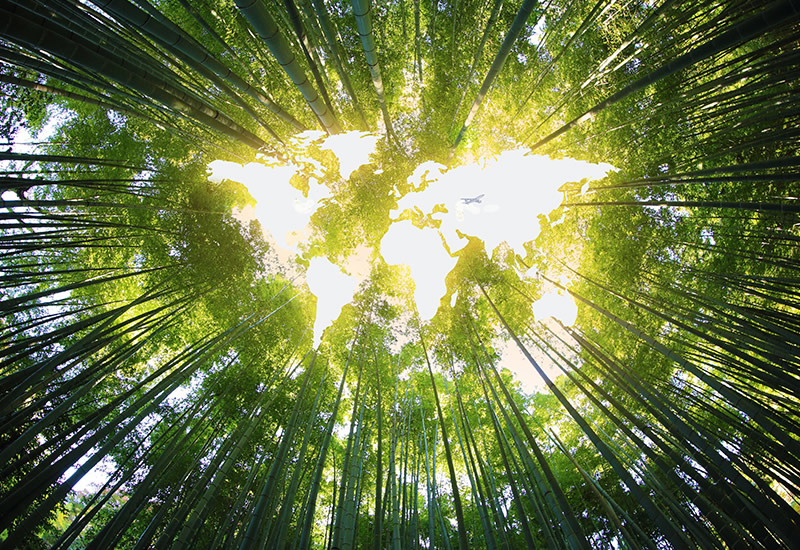 研究成果